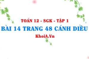 Bài 14 trang 48 Toán 12 tập 1 Cánh Diều